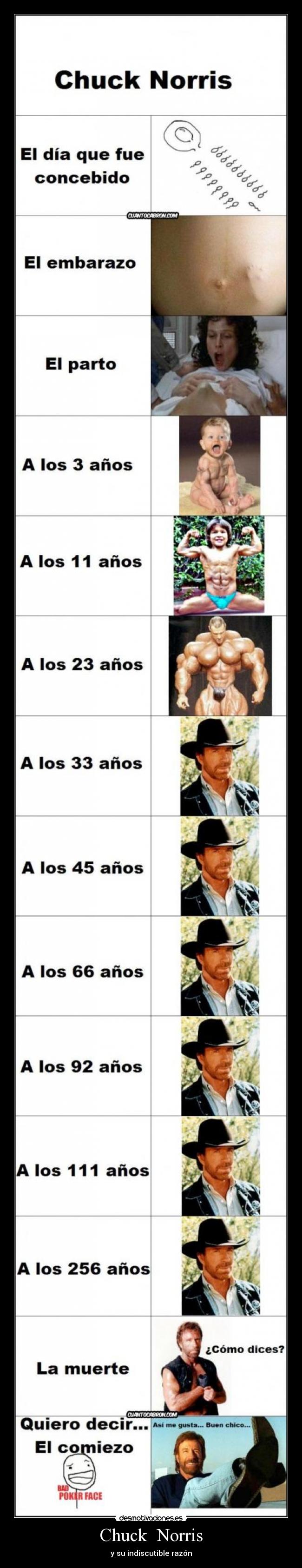 Chuck  Norris - y su indiscutible razón