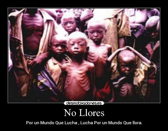 No Llores - Por un Mundo Que Lucha , Lucha Por un Mundo Que llora.