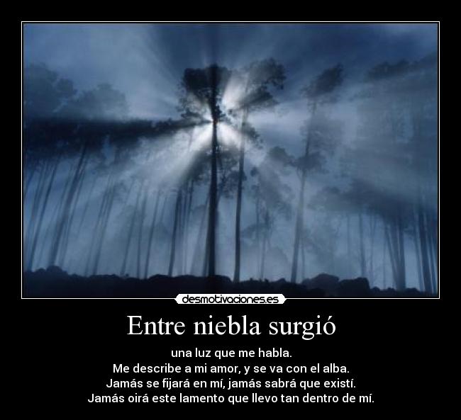 LUCERO AVALANCH lucero avalanch: