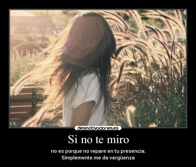 Si no te miro - no es porque no repare en tu presencia.
Simplemente me da vergüenza