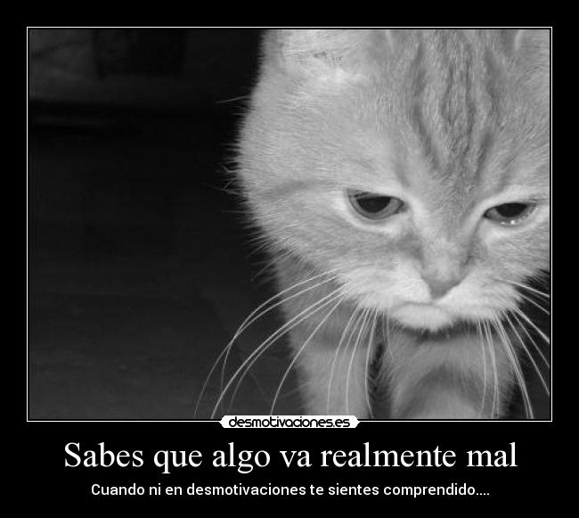 carteles borre sin querer alguien comento pude leer siento desmotivaciones