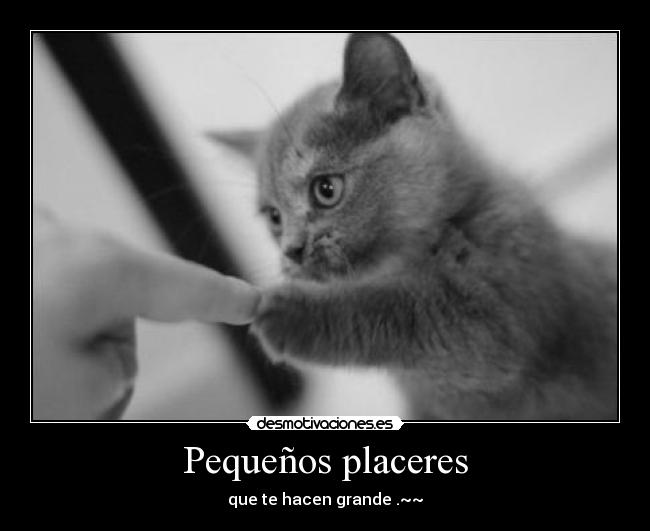 Pequeños placeres - que te hacen grande .~~