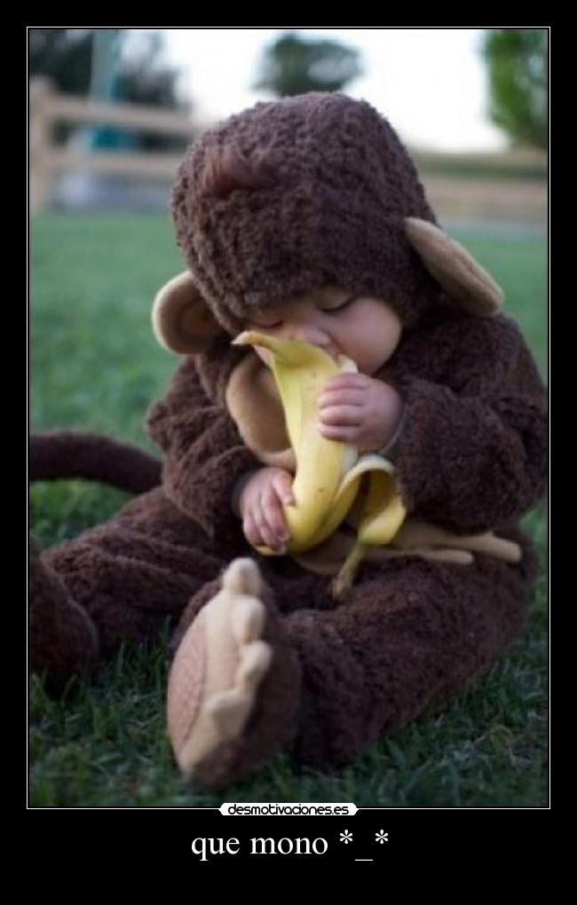 que mono *_* -