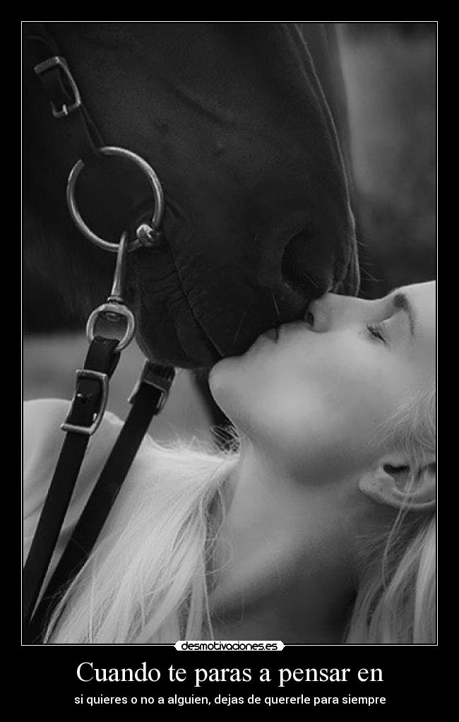 carteles caballo chica querer beso desmotivaciones