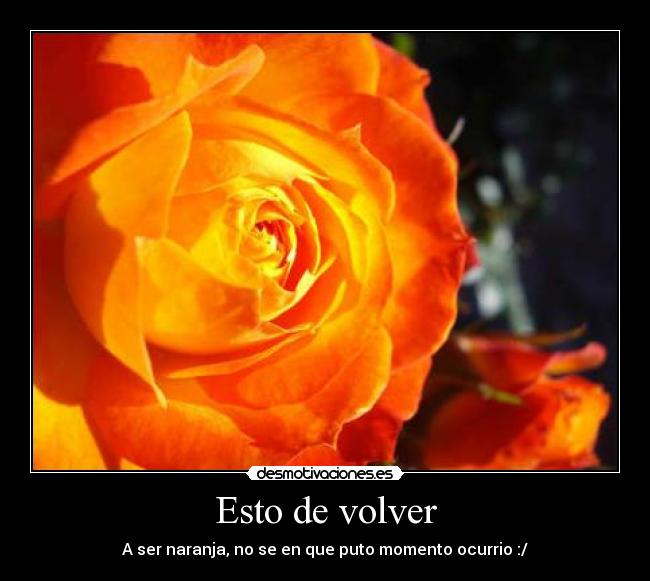 Esto de volver - A ser naranja, no se en que puto momento ocurrio :/