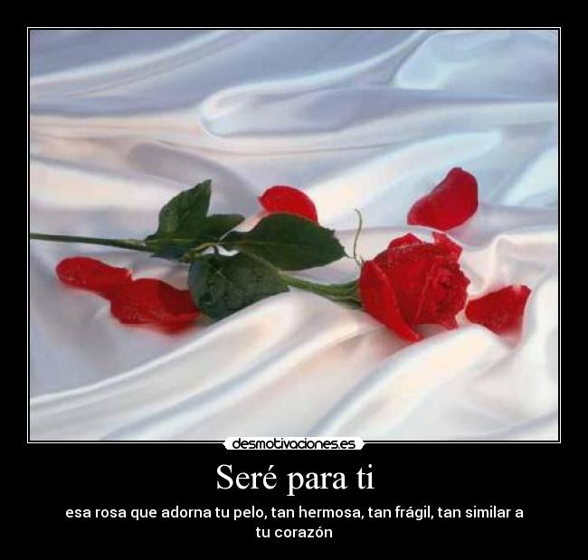 Seré para ti - 
