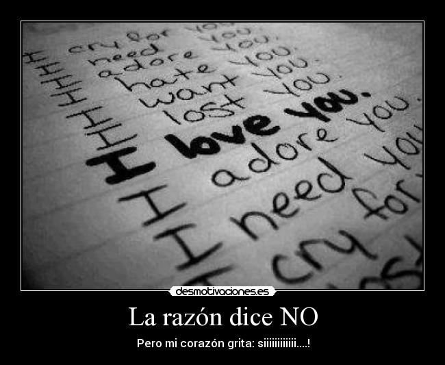 La razón dice NO -