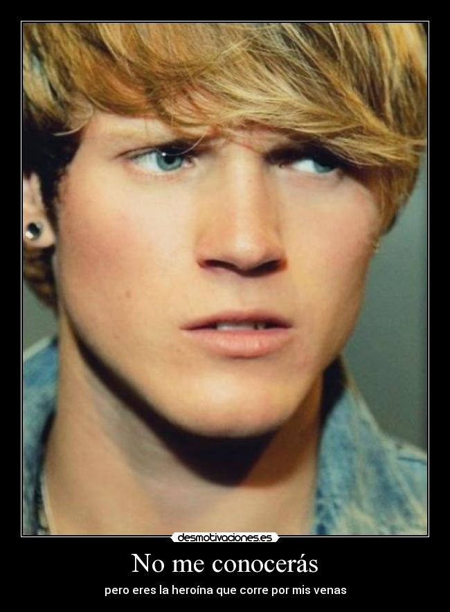 carteles dougie poynter adorooo amoooo quierooo desmotivaciones