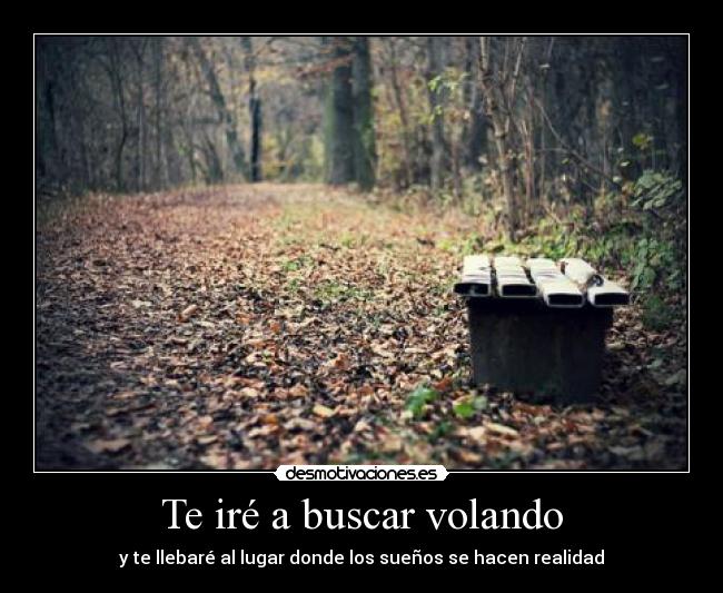 Te iré a buscar volando - 