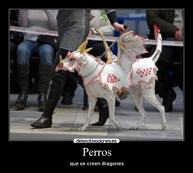 Perros - 