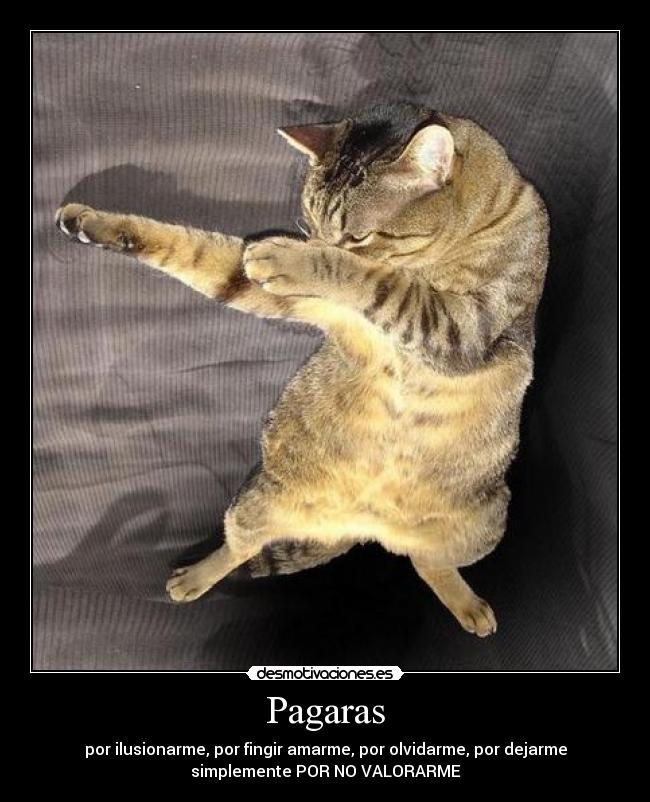 Pagaras - por ilusionarme, por fingir amarme, por olvidarme, por dejarme
simplemente POR NO VALORARME