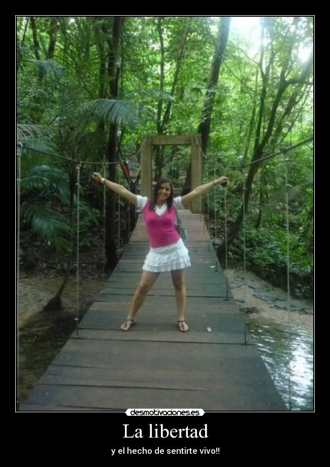 carteles libertad libertad desmotivaciones