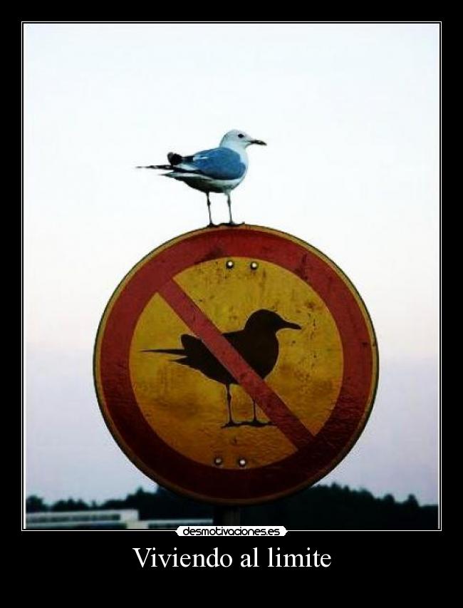 Viviendo al limite -