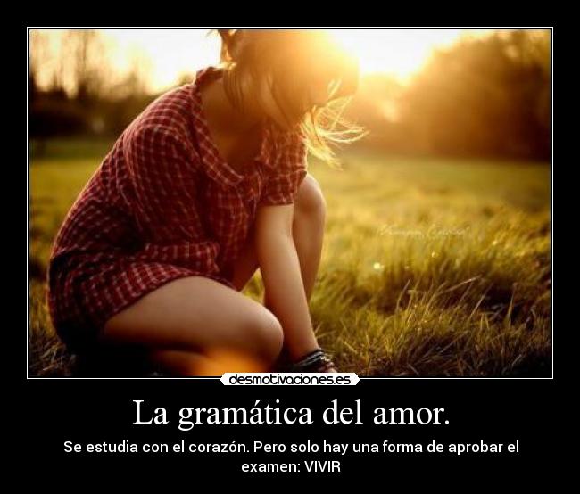 La gramática del amor. - Se estudia con el corazón. Pero solo hay una forma de aprobar el examen: VIVIR