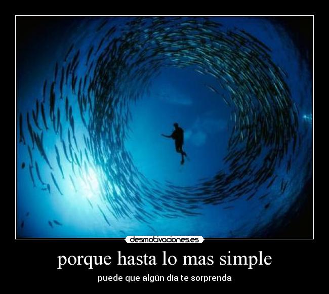 porque hasta lo mas simple - puede que algún día te sorprenda