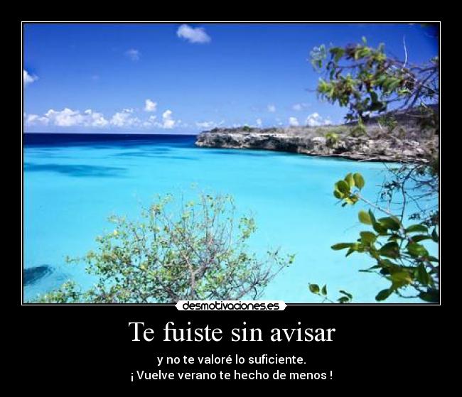 Te fuiste sin avisar -