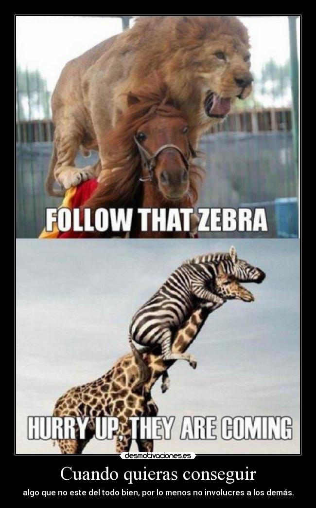 carteles jirafa leon cebra correr desmotivaciones