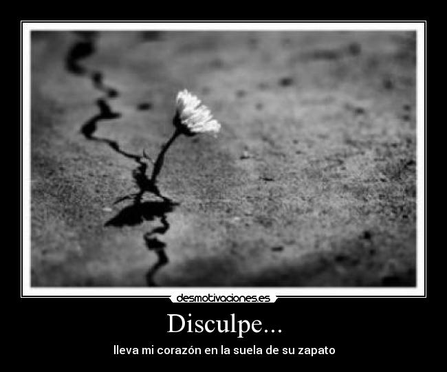Disculpe... - 