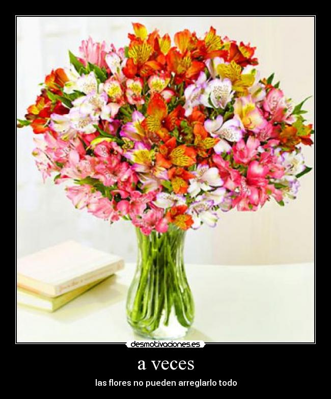 a veces - las flores no pueden arreglarlo todo