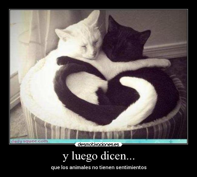 y luego dicen... - 