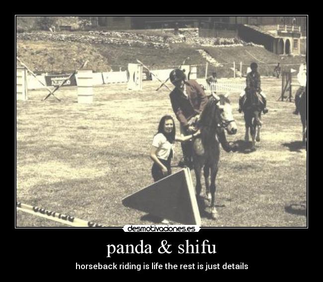 carteles paulina1 desmotivaciones