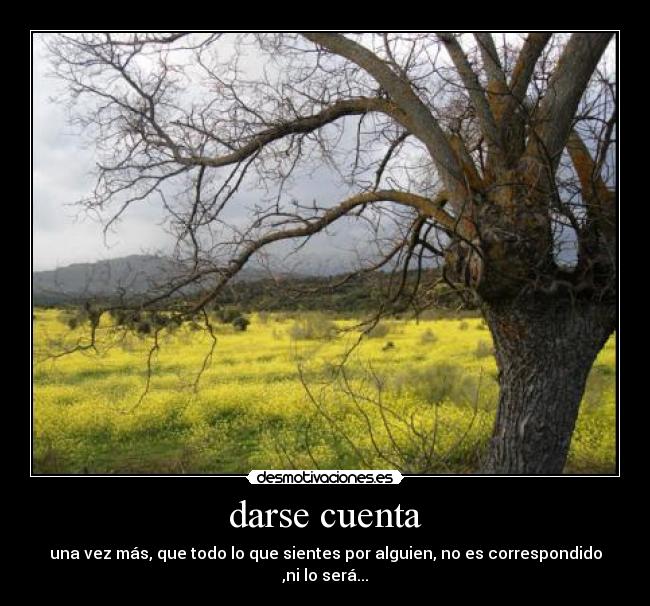 darse cuenta -
