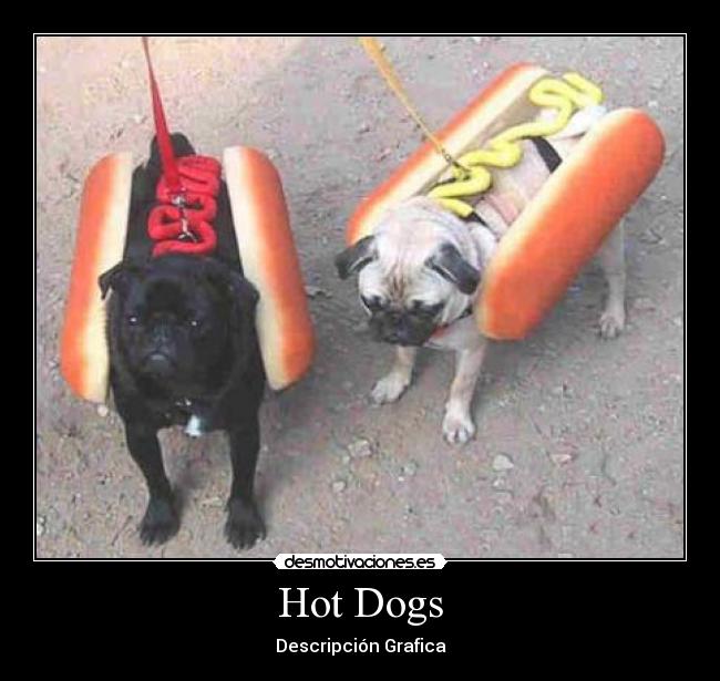 Hot Dogs - Descripción Grafica