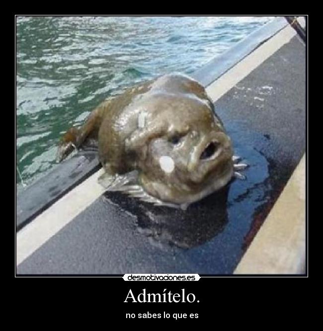Admítelo. - no sabes lo que es