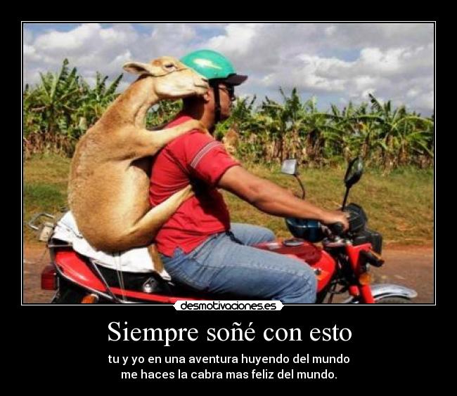 Siempre soñé con esto - tu y yo en una aventura huyendo del mundo
me haces la cabra mas feliz del mundo.