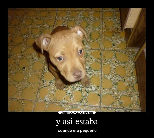 y asi estaba - cuando era pequeño