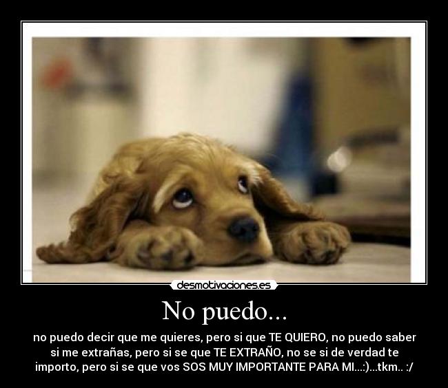 No puedo... - no puedo decir que me quieres, pero si que TE QUIERO, no puedo saber
si me extrañas, pero si se que TE EXTRAÑO, no se si de verdad te
importo, pero si se que vos SOS MUY IMPORTANTE PARA MI...:)...tkm.. :/