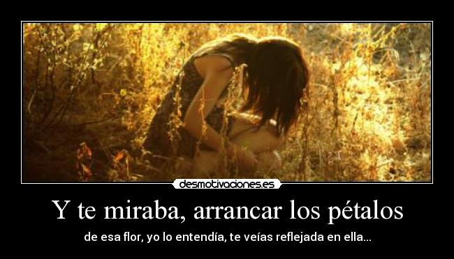 Y te miraba, arrancar los pétalos - de esa flor, yo lo entendía, te veías reflejada en ella...