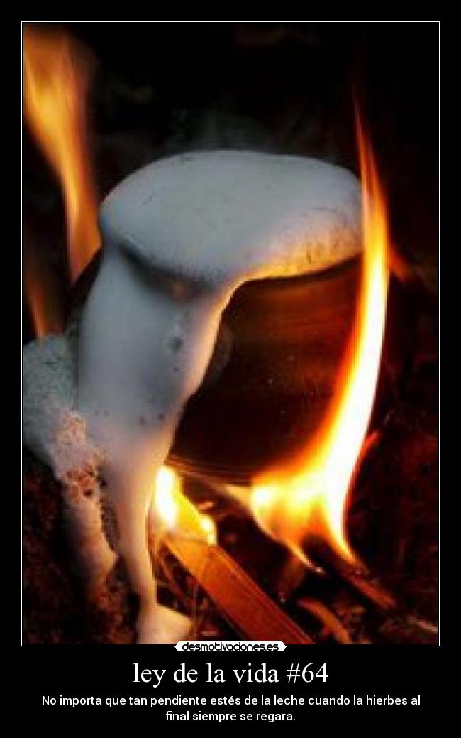 ley de la vida #64 - No importa que tan pendiente estés de la leche cuando la hierbes al
final siempre se regara.