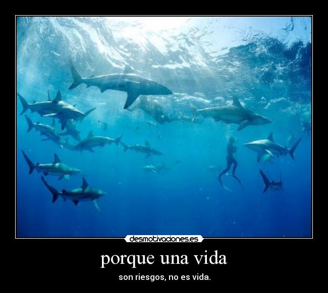 porque una vida - son riesgos, no es vida.