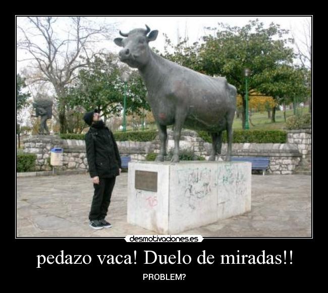 pedazo vaca! Duelo de miradas!! - PROBLEM?