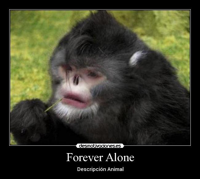 Forever Alone - Descripción Animal
