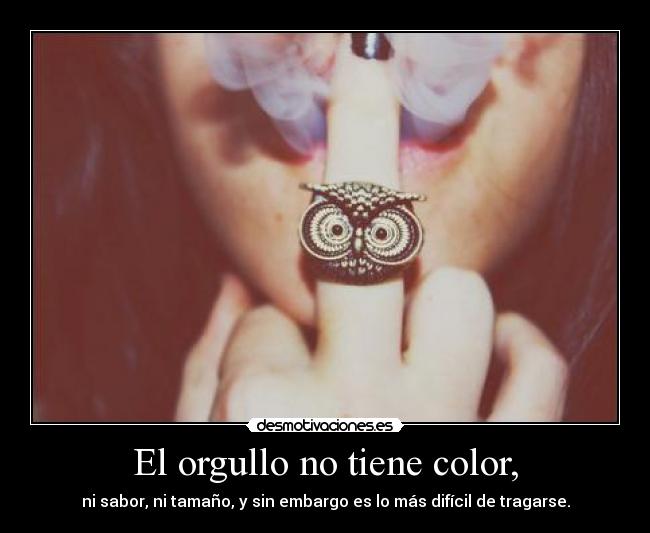 El orgullo no tiene color, -