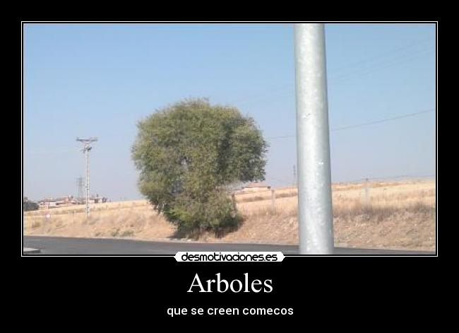 Arboles - 