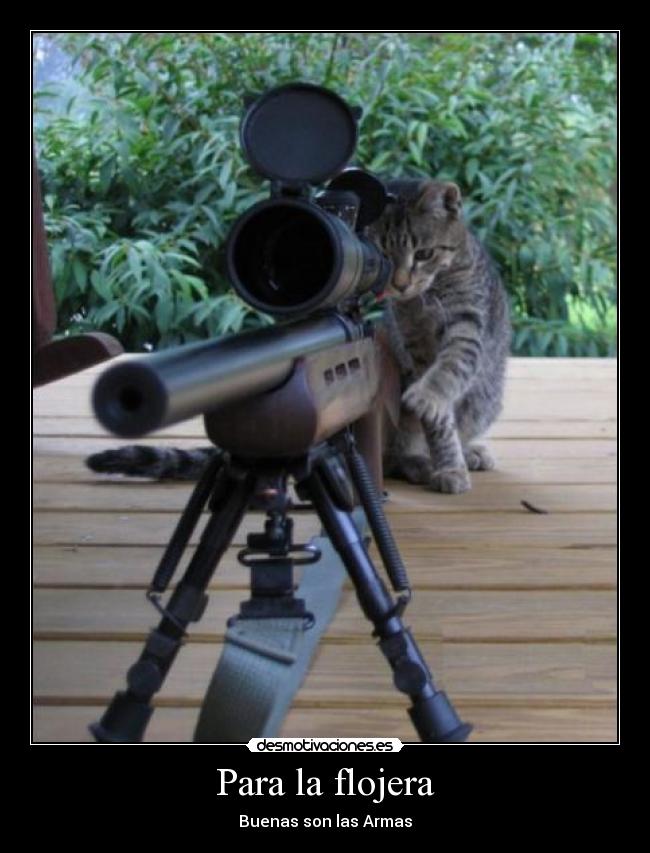 Para la flojera - Buenas son las Armas
