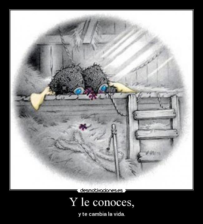 Y le conoces, - y te cambia la vida.