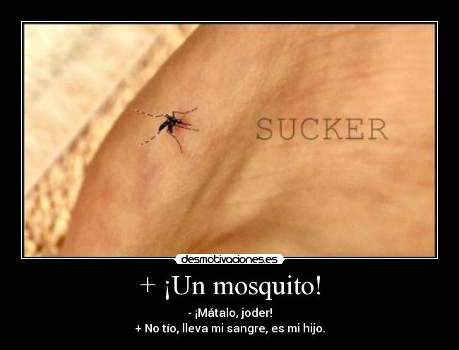 + ¡Un mosquito! - - ¡Mátalo, joder!
+ No tío, lleva mi sangre, es mi hijo.