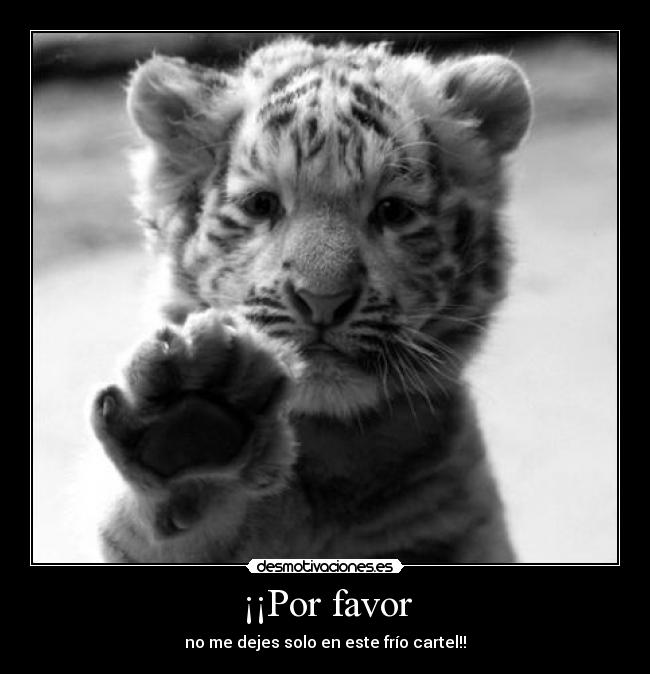 ¡¡Por favor -