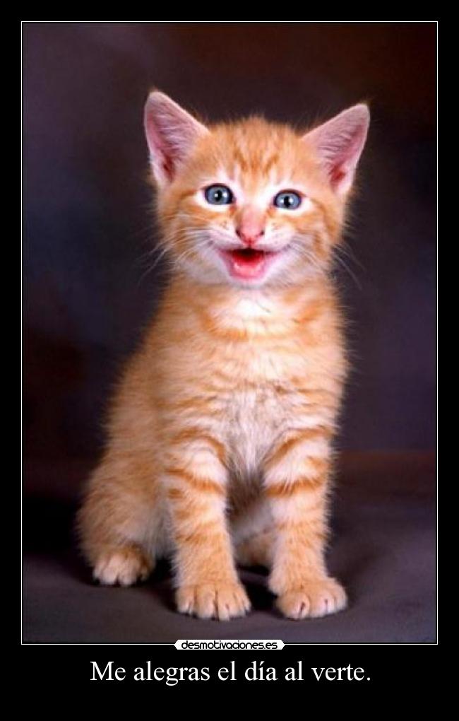 Me alegras el día al verte. - 