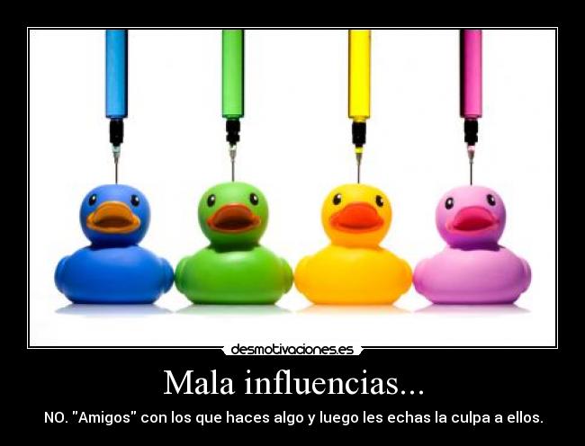 Mala influencias... - NO. Amigos con los que haces algo y luego les echas la culpa a ellos.