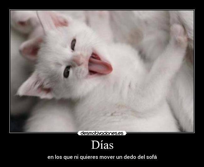 Días - en los que ni quieres mover un dedo del sofá