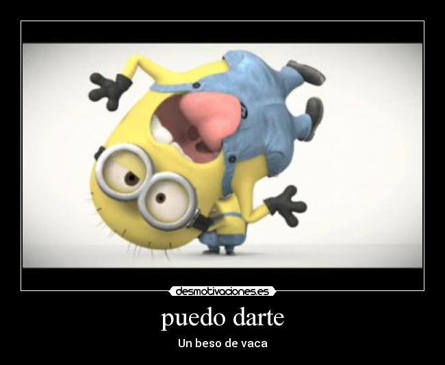 puedo darte - Un beso de vaca