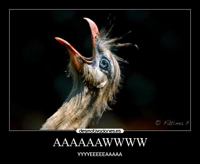 AAAAAAWWWW - YYYYEEEEEAAAAA