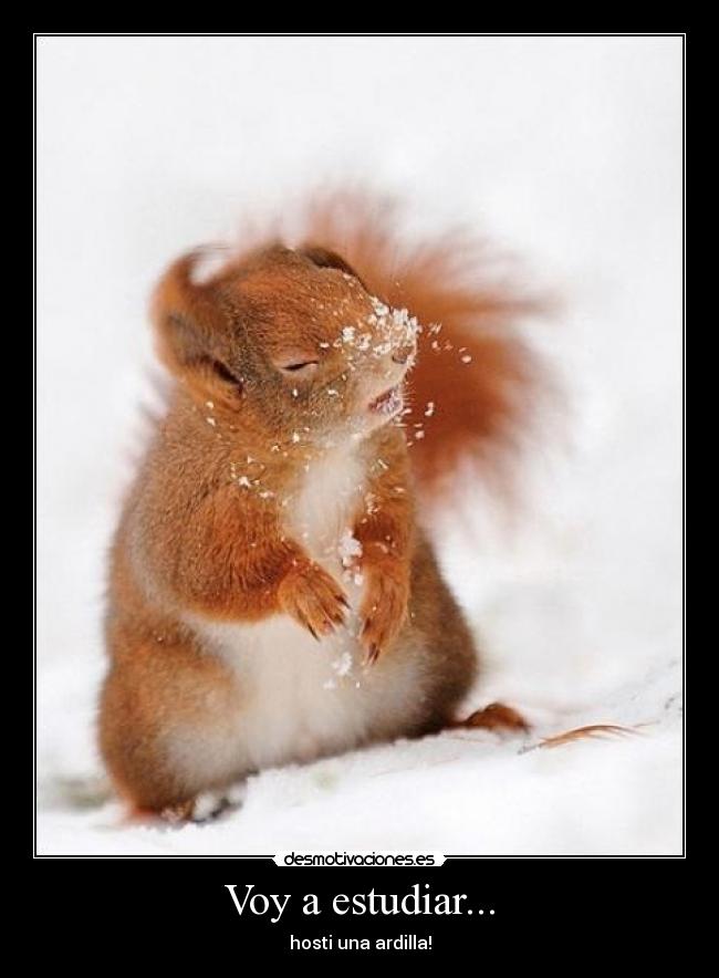 Voy a estudiar... - 