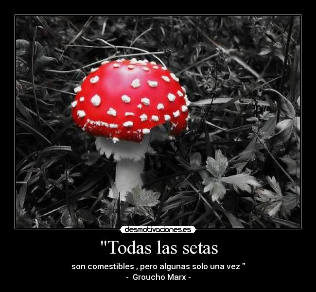 Todas las setas -