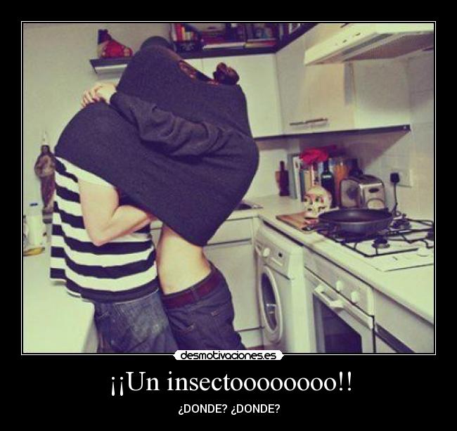 ¡¡Un insectoooooooo!! - ¿DONDE? ¿DONDE?